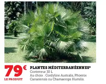 Super U Plantes Méditerranéennes offre