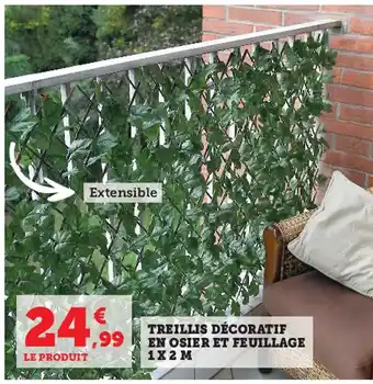 Treillis Décoratif En Osier Et Feuillage 1 x 2 m
