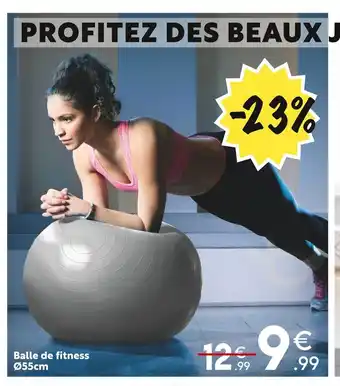Balle de fitness