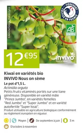 Jardiland Kiwaï en Variétés Bio Invivo Nous on Sème offre