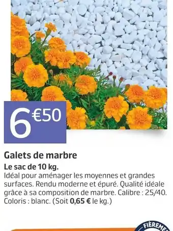 Jardiland Galets de Marbre offre