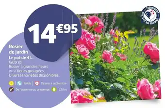 Jardiland Rosier de Jardin offre