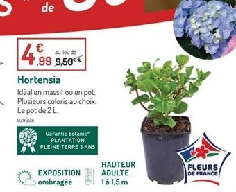 Botanic Hortensia offre