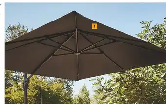 Gamm vert Parasol deporte nh 20 offre