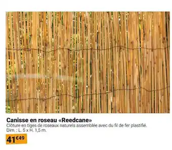 Gamm vert Canisse en roseau reedcane offre