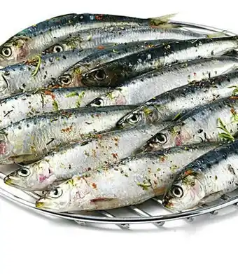Casino Supermarchés Sardines offre