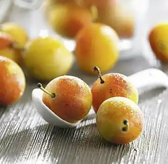 Prune Reine Claude