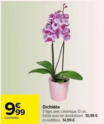 Carrefour Orchidée offre
