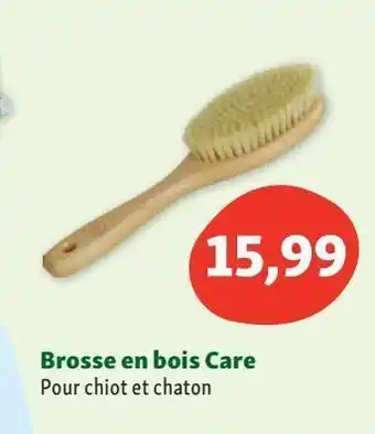 Maxi Zoo Care brosse bois chiots et chatons offre