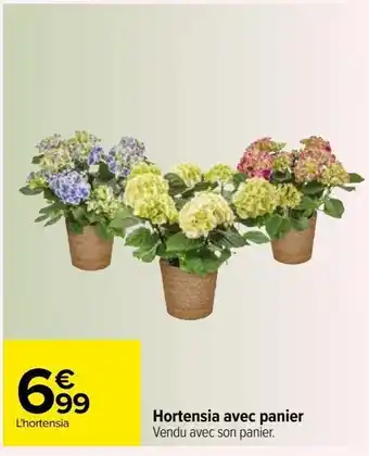 Carrefour Hortensia avec panier offre