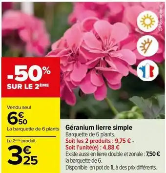 Carrefour Géranium lierre simpe offre