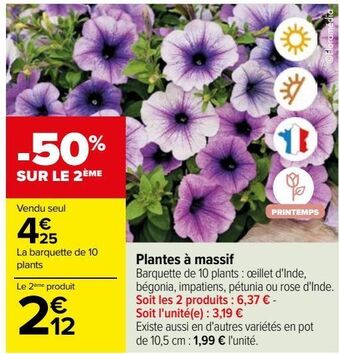 Carrefour Plantes à massif offre