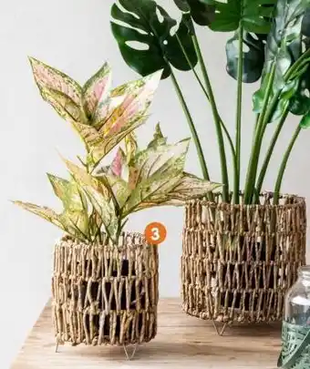 b&m Lot de 2 cache-pots offre