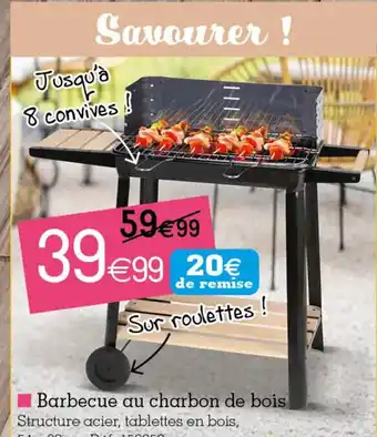 Barbecue Au Charbon De Bois