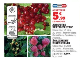 Super U Arbustes petits fruits offre