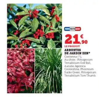 Super U Arbustes de jardin zen offre