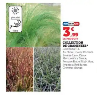 Super U Collection de graminées offre