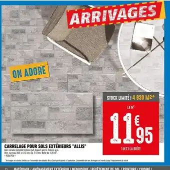 Brico Cash Carrelage pour sols extérieures allis offre