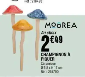 La Foir'Fouille Champignon a piquer offre