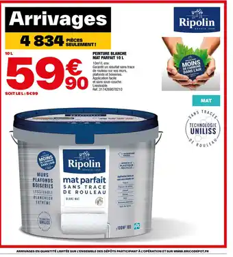 Brico Dépôt Peinture blanche mat parfait offre