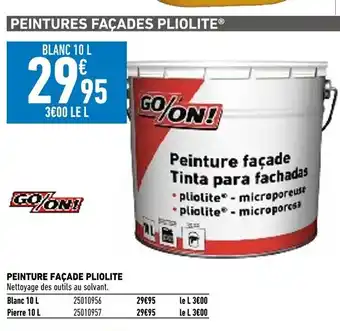 Brico Cash Peinture Facade Pliolite offre
