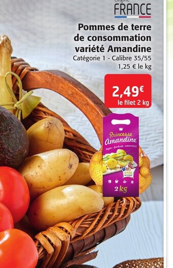 Pommes de terre de consommation variete amandine
