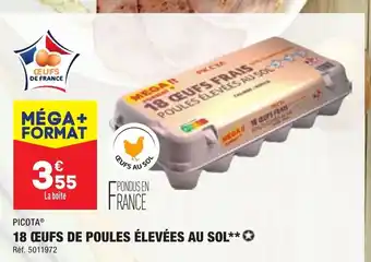 ALDI 18 oeufs de poules elevees au sol offre
