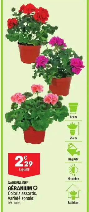 ALDI Geranium offre