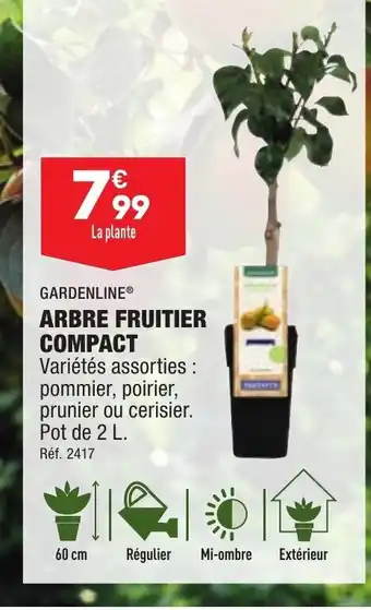 ALDI Arbre fruitier compact offre