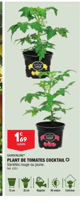 ALDI Plant de tomates cocktail offre