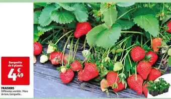 Auchan Fraisiers offre