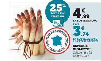 Asperge violette