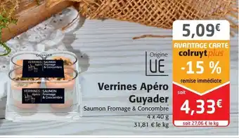 Verrinnes apéro guyader