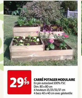 Auchan Supermarché Carré potager modulaire offre
