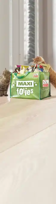 Bon Plan sur alimentation ou equipement chat