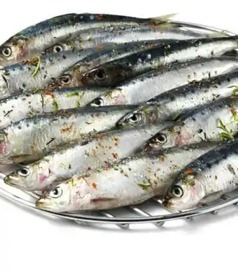 Géant Casino Sardines offre