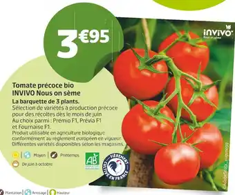 Jardiland Invivo nous on sème tomate précoce bio offre