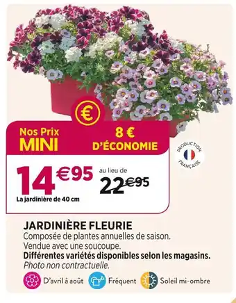 Delbard Jardinière fleurie offre