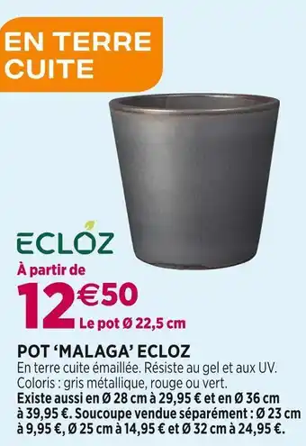Delbard Ecloz pot ‘malaga’ offre