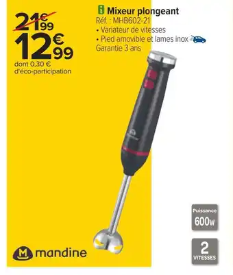 Carrefour Mandine mixeur plongeant offre