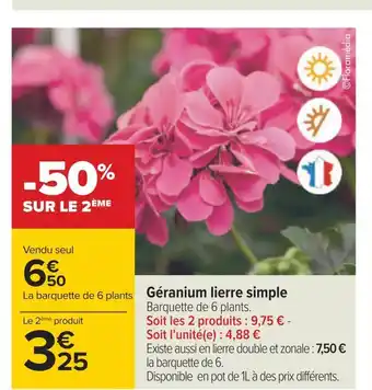 Carrefour Géranium lierre simple offre