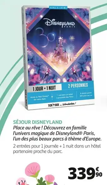 Auchan Séjour disneyland offre