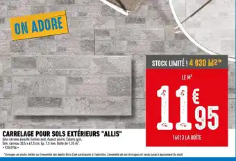 Brico Cash Carrelage pour sols extérieurs allis offre