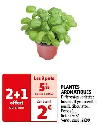 Auchan Plantes aromatiques offre