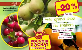 Fruitiers 50-60 cm