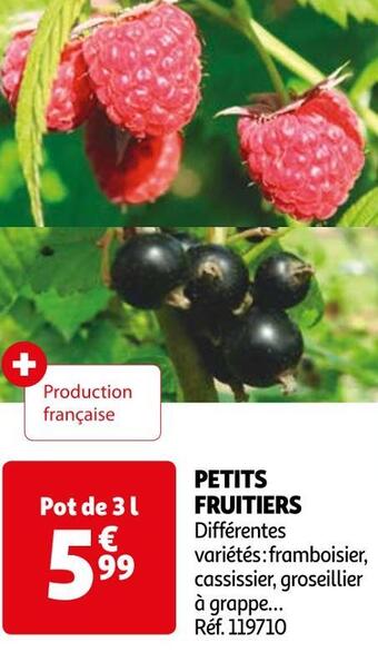 Auchan Petits fruitiers offre