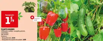 Auchan Plants legumes offre