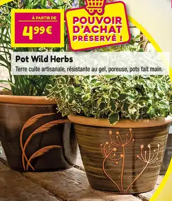 Pot wild herbs