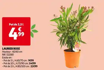 Auchan Laurier rose offre