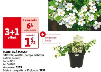 Auchan Plantes à massif offre